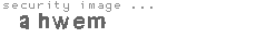 security image