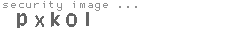 security image