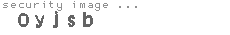 security image