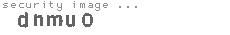 security image