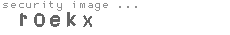 security image
