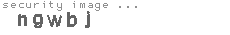 security image