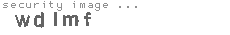 security image