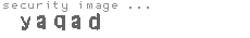 security image