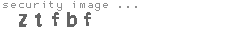 security image