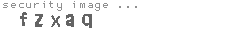 security image