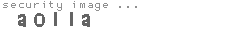 security image