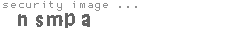 security image
