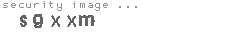 security image
