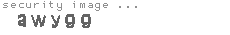security image