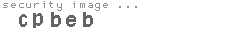 security image