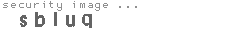 security image