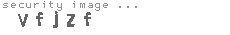 security image