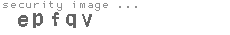 security image
