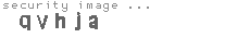 security image