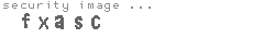security image