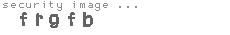 security image