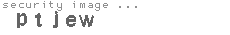 security image