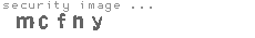 security image