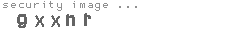 security image
