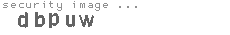 security image