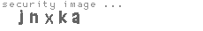 security image