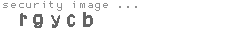 security image