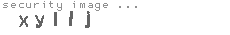 security image