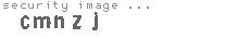 security image