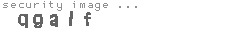 security image