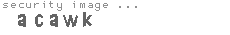 security image