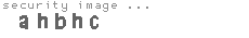 security image