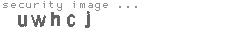 security image
