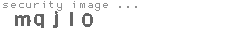 security image