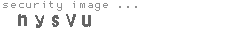 security image