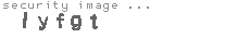 security image