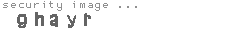security image