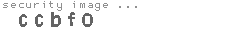 security image