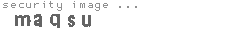 security image