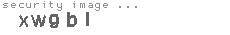 security image
