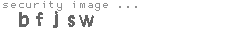 security image