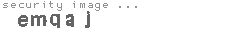 security image