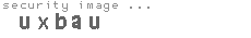 security image
