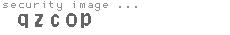 security image