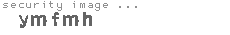 security image