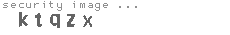 security image