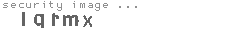 security image