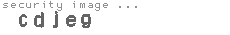 security image