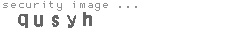 security image
