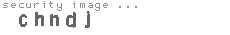 security image